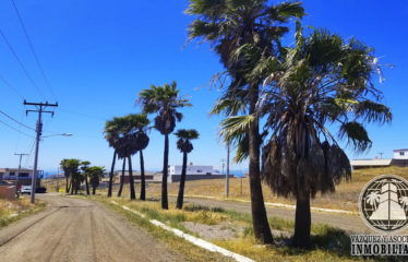 Terreno en Riviera San Carlos